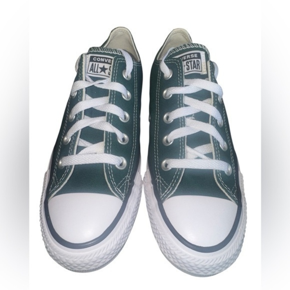 ❇️NWT❇️Converse All Star CTAS Dragon Scale Ox